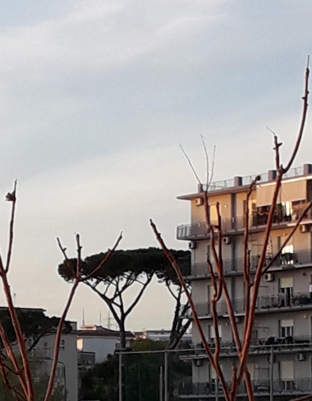 Bed and Breakfast Mare Azzurro Torre del Greco Exterior foto